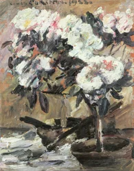 Azalea